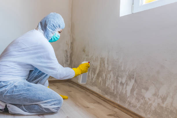 Hvac And Air Duct Mold Remediation inspection of HVAC system in Bayonne